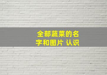 全部蔬菜的名字和图片 认识